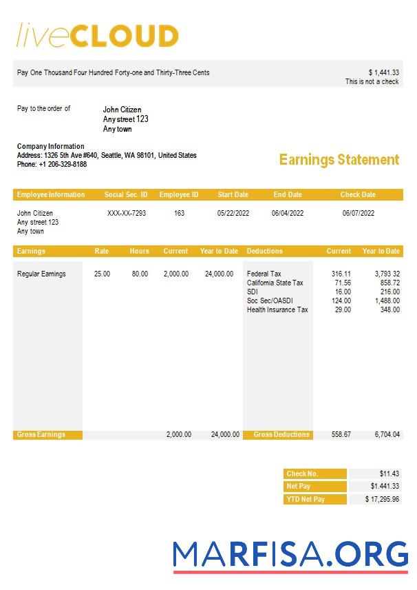Printable Cloud storage paystub sample